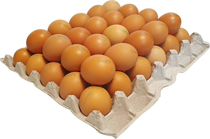 ±¸¿î°è¶õ_04.jpg