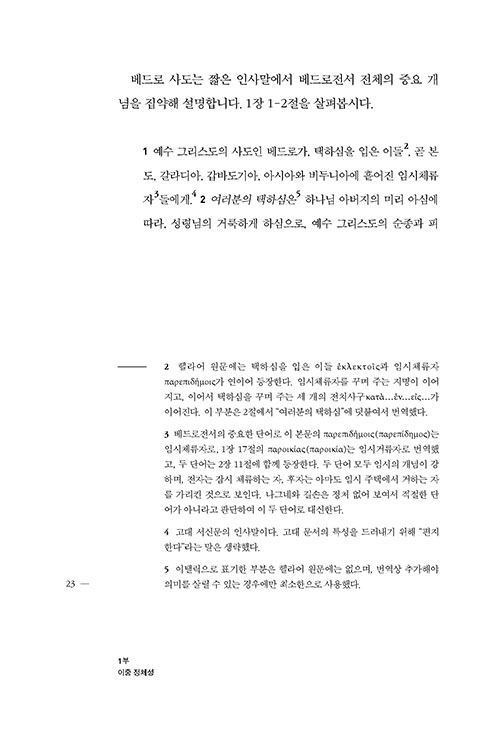 -(21).jpg